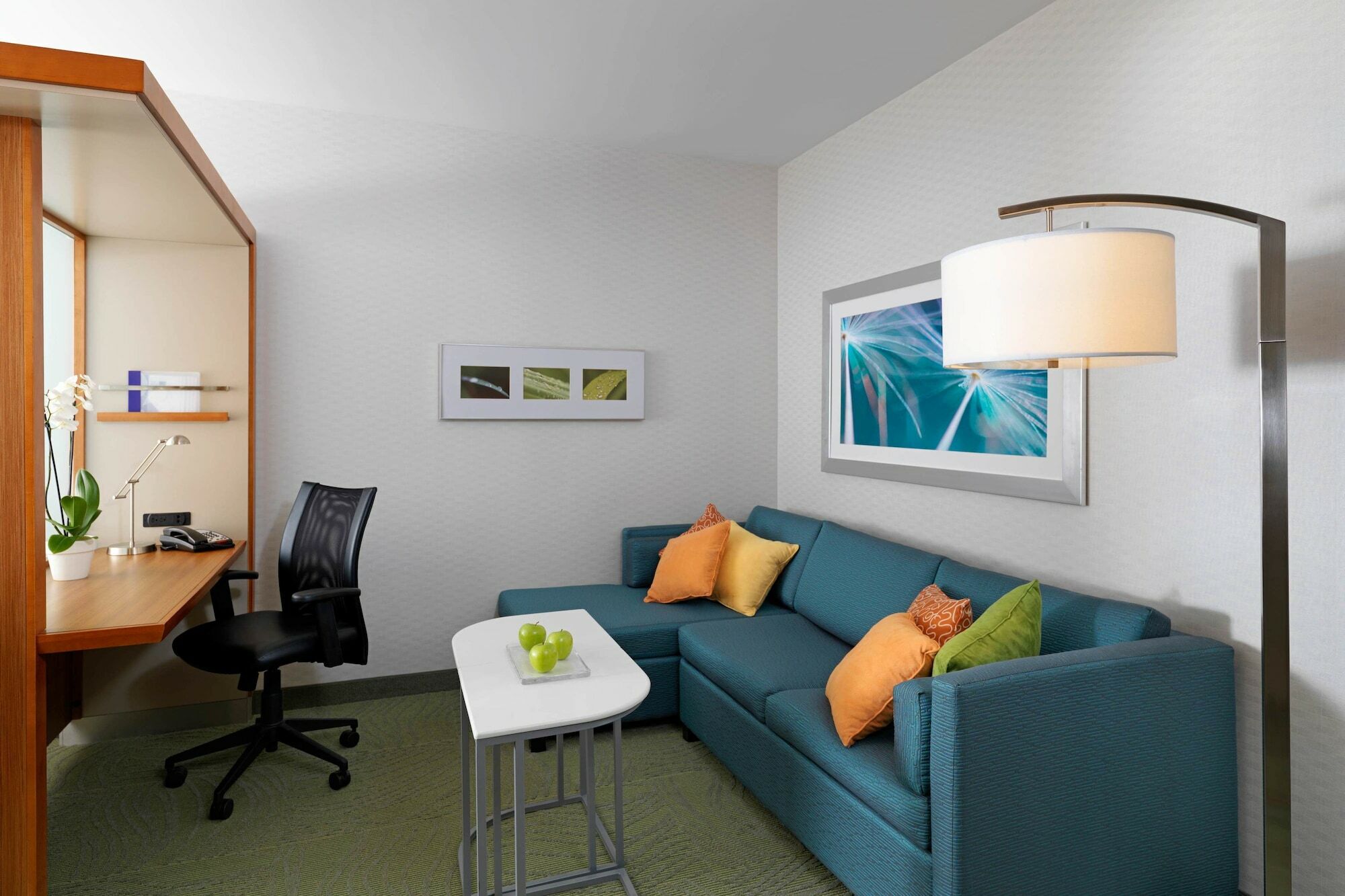 Springhill Suites By Marriott Kansas City Lenexa/City Center Extérieur photo